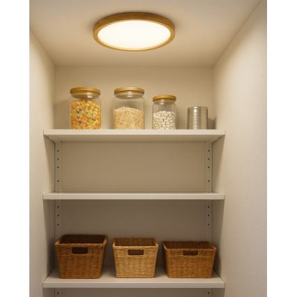 LED Stropní svítidlo LED/18W/230V 3000/4000/6500K pr. 23 cm béžová